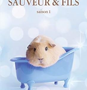 Sauveur & Fils Saison 1
